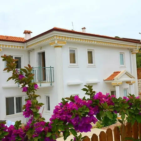 Soral Villas 빌라 카스